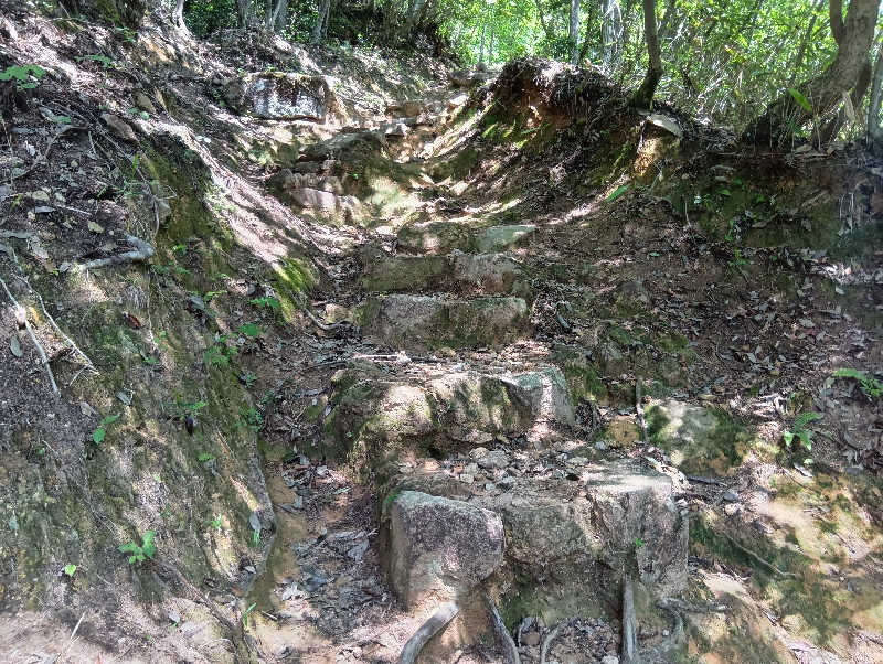 SO-RIさんの天然温泉 和田山乃湯のサ活写真