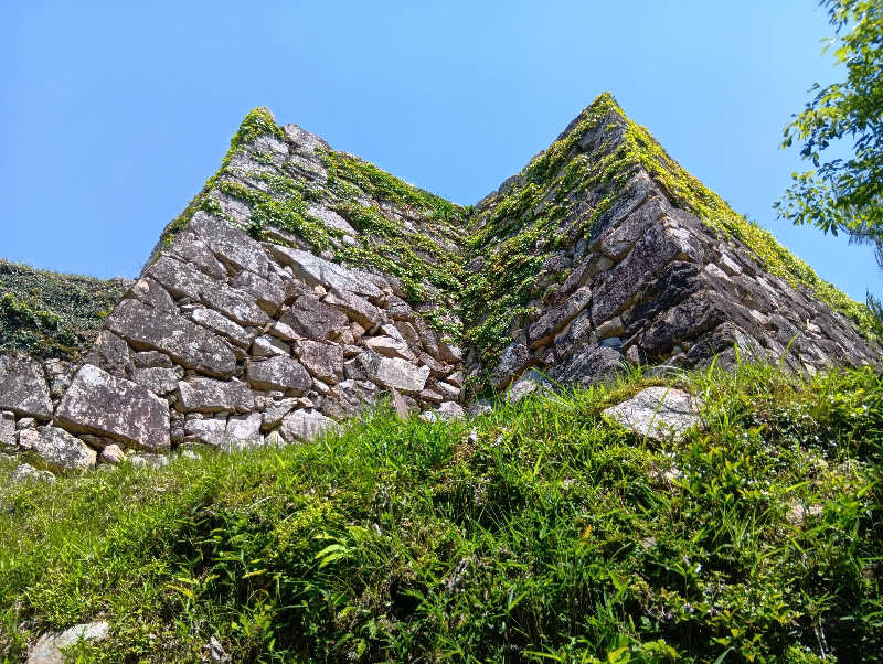 SO-RIさんの天然温泉 和田山乃湯のサ活写真
