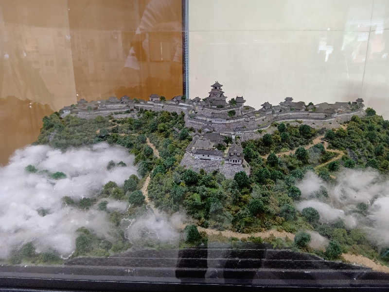 SO-RIさんの天然温泉 和田山乃湯のサ活写真