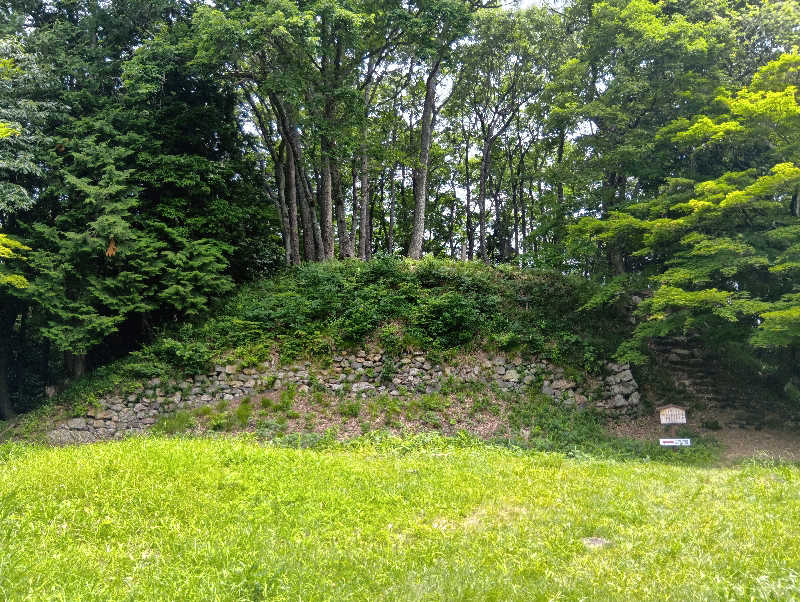 SO-RIさんの北近江リゾート 天然温泉 北近江の湯のサ活写真
