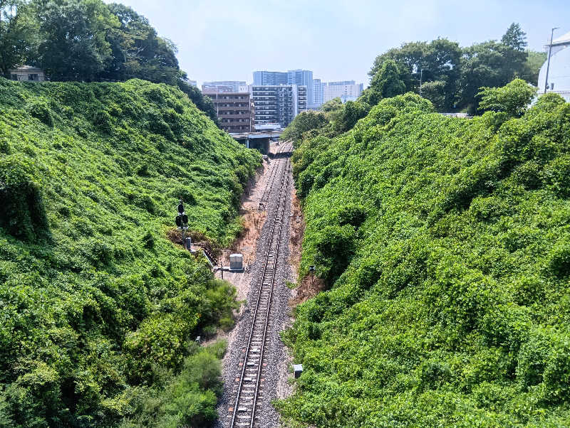 SO-RIさんのやまの湯のサ活写真