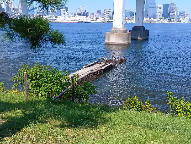 SO-RIさんの天然温泉 泉天空の湯 有明ガーデンのサ活写真