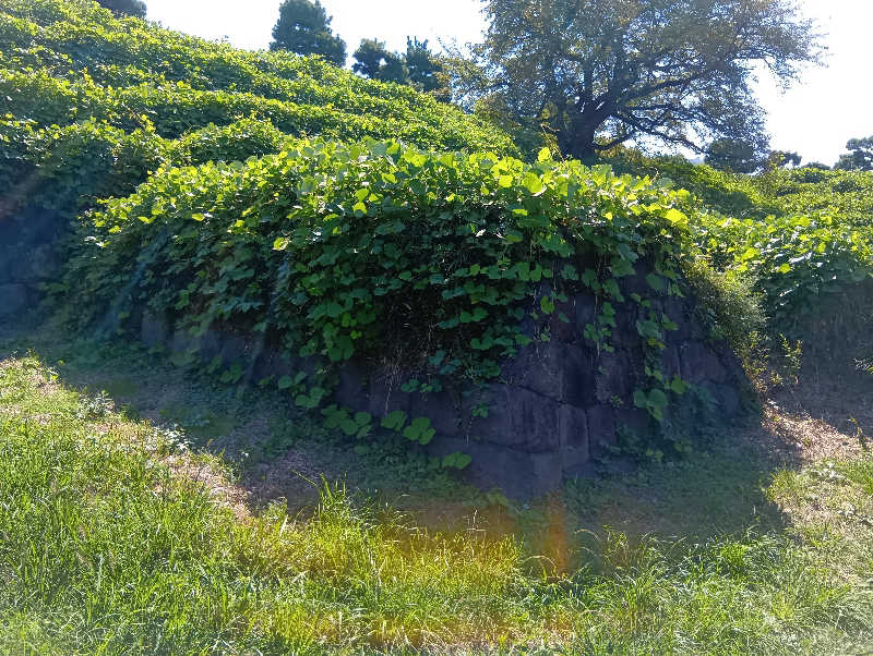 SO-RIさんの天然温泉 泉天空の湯 有明ガーデンのサ活写真