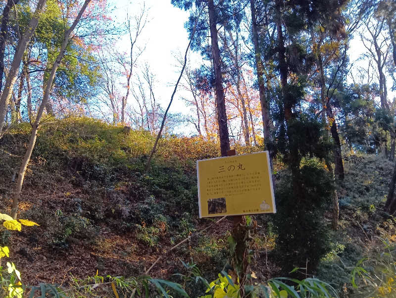 SO-RIさんの竜泉寺の湯 八王子みなみ野店のサ活写真