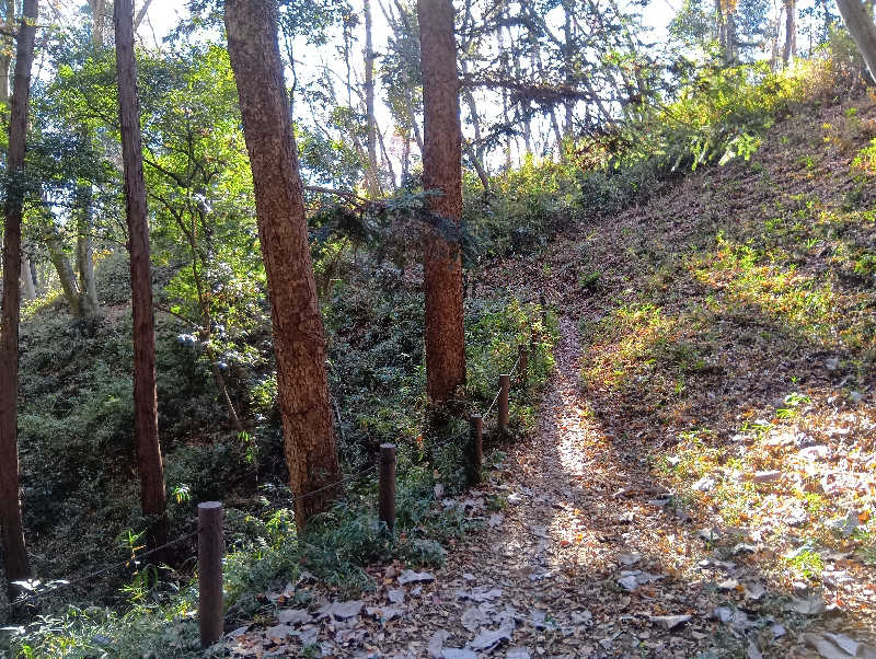 SO-RIさんの竜泉寺の湯 八王子みなみ野店のサ活写真