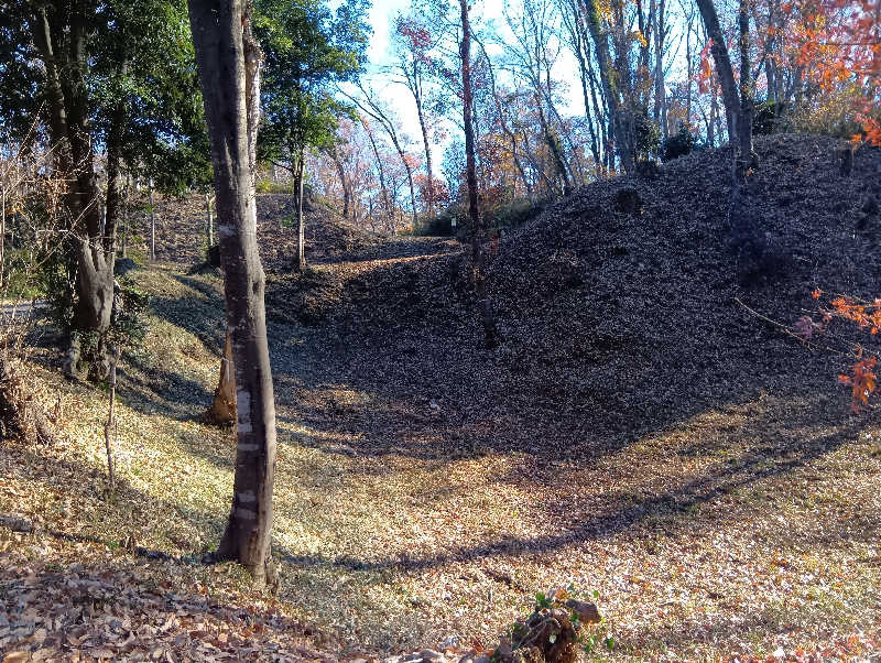 SO-RIさんの竜泉寺の湯 八王子みなみ野店のサ活写真
