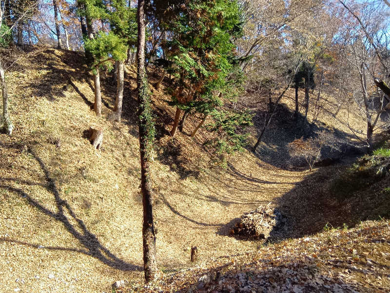 SO-RIさんの竜泉寺の湯 八王子みなみ野店のサ活写真