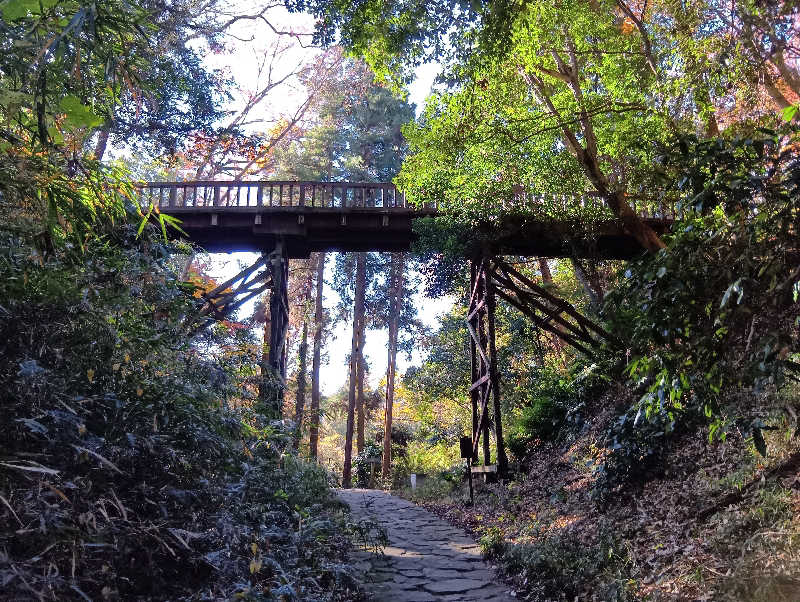 SO-RIさんの竜泉寺の湯 八王子みなみ野店のサ活写真