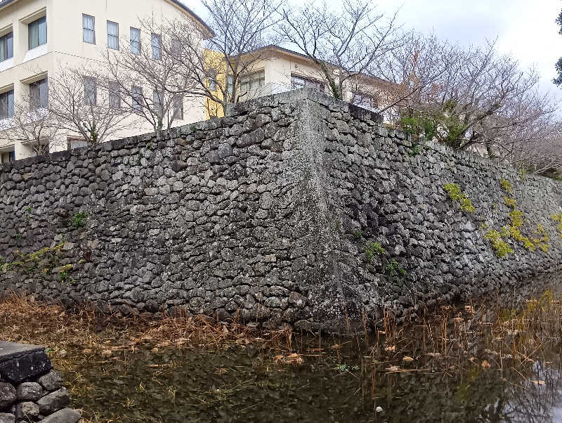 SO-RIさんのたっしゃかランドのサ活写真