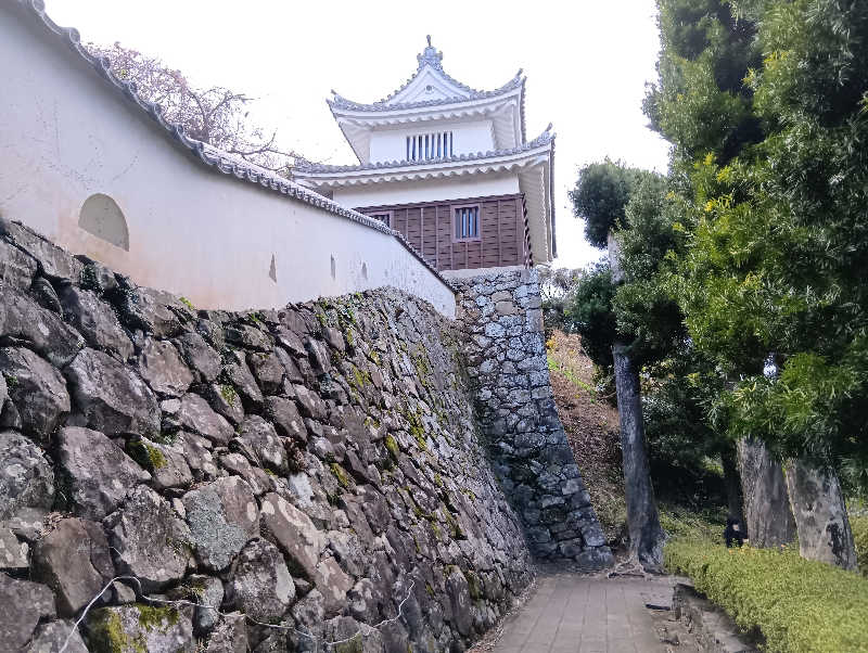 SO-RIさんの大江戸温泉物語 ホテル蘭風のサ活写真