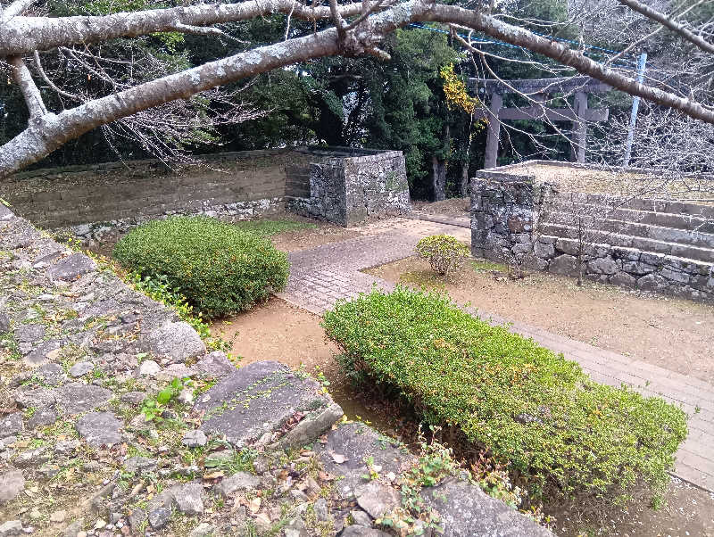 SO-RIさんの大江戸温泉物語 ホテル蘭風のサ活写真