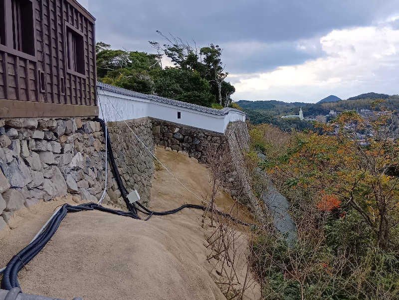 SO-RIさんの大江戸温泉物語 ホテル蘭風のサ活写真