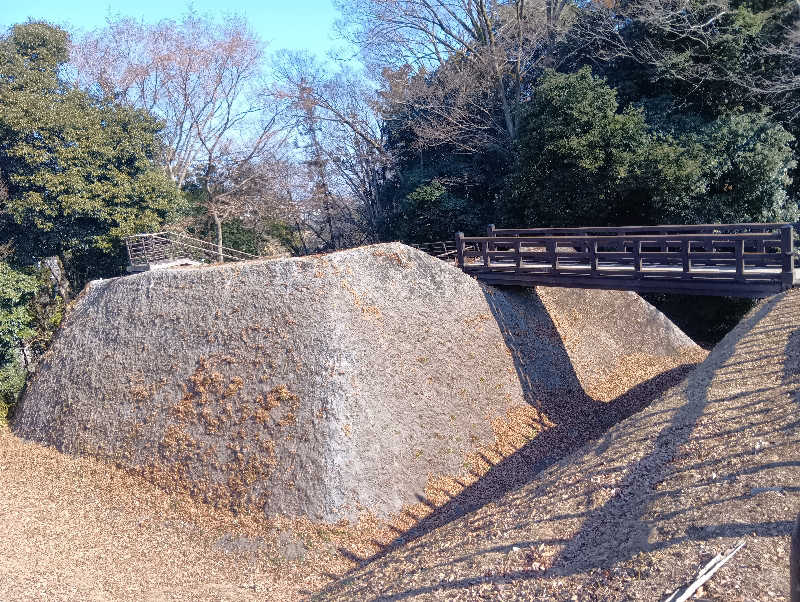 SO-RIさんの深谷花園温泉 花湯の森のサ活写真