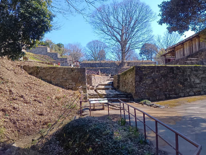 SO-RIさんの天然温泉 太田安眠の湯のサ活写真