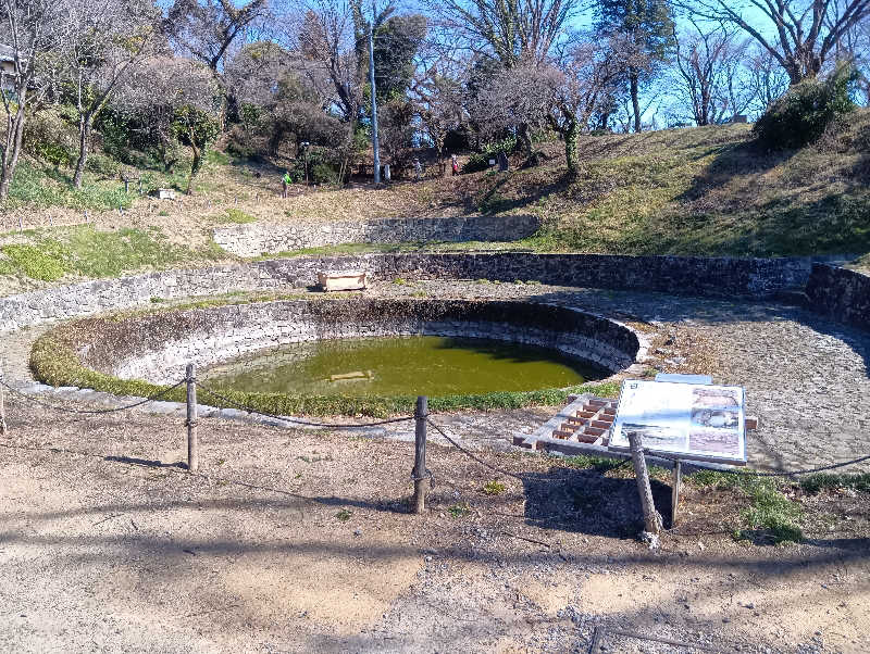 SO-RIさんの天然温泉 太田安眠の湯のサ活写真