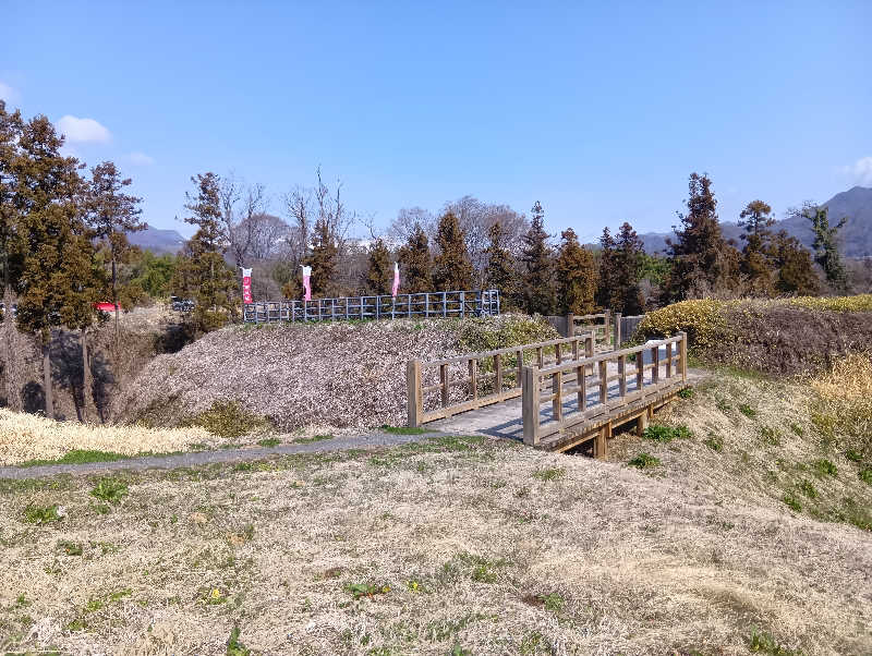 SO-RIさんの猿ケ京温泉 まんてん星の湯のサ活写真