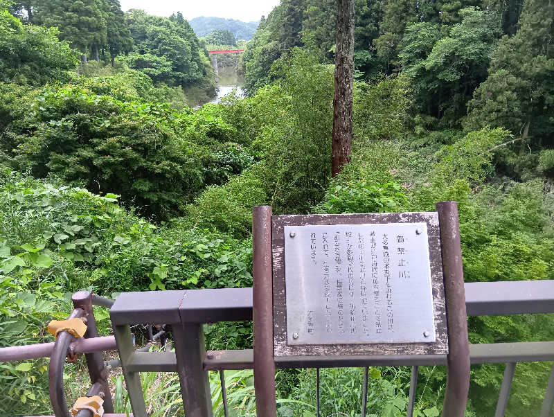 SO-RIさんのむつざわ温泉つどいの湯のサ活写真
