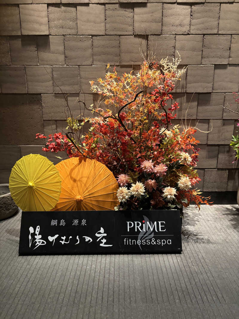 ゆーきさんの綱島源泉 湯けむりの庄のサ活写真