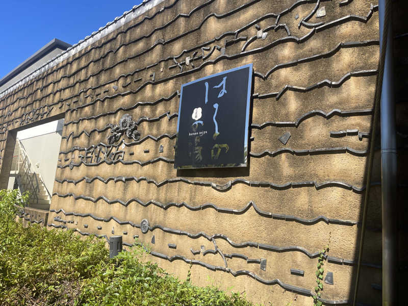 丹寅朝太郎さんの天然温泉 はるのの湯のサ活写真