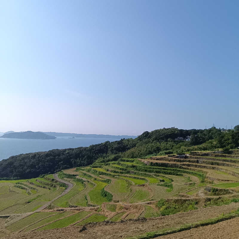 みすずさんのペットリゾート ブレインズ長崎(旧 福之島 Hotel & Resort TSUBAKI)のサ活写真