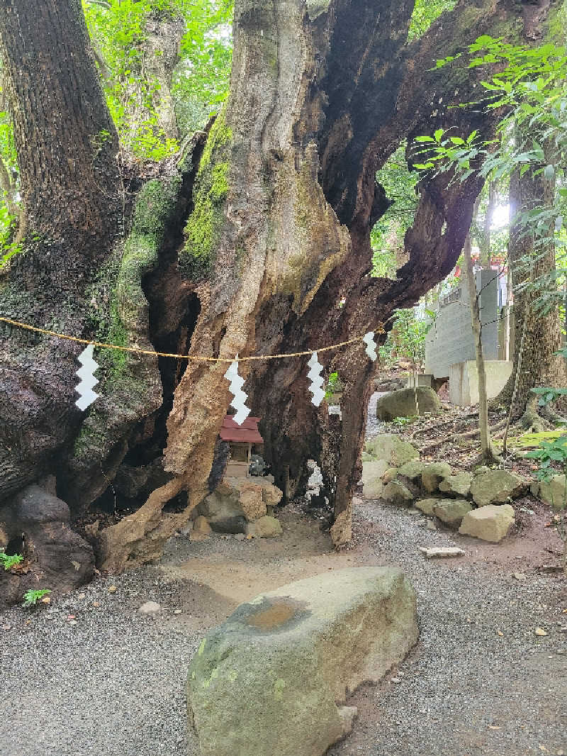 万代さんの星野リゾート リゾナーレ熱海のサ活写真