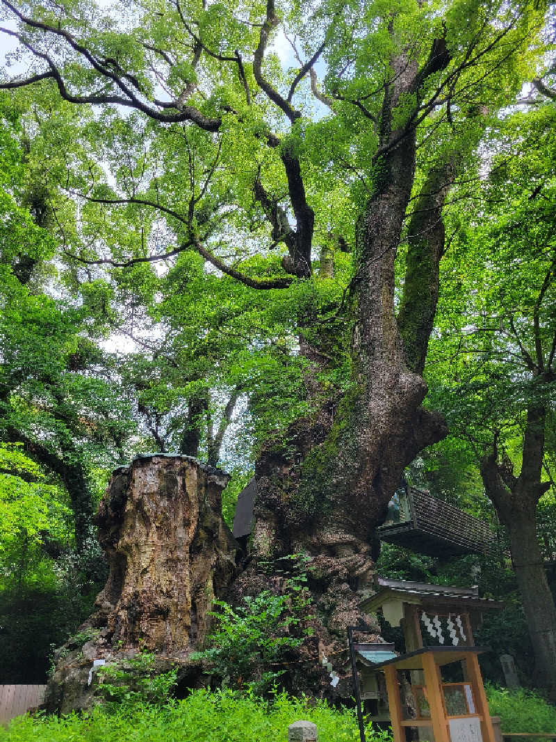 万代さんの星野リゾート リゾナーレ熱海のサ活写真