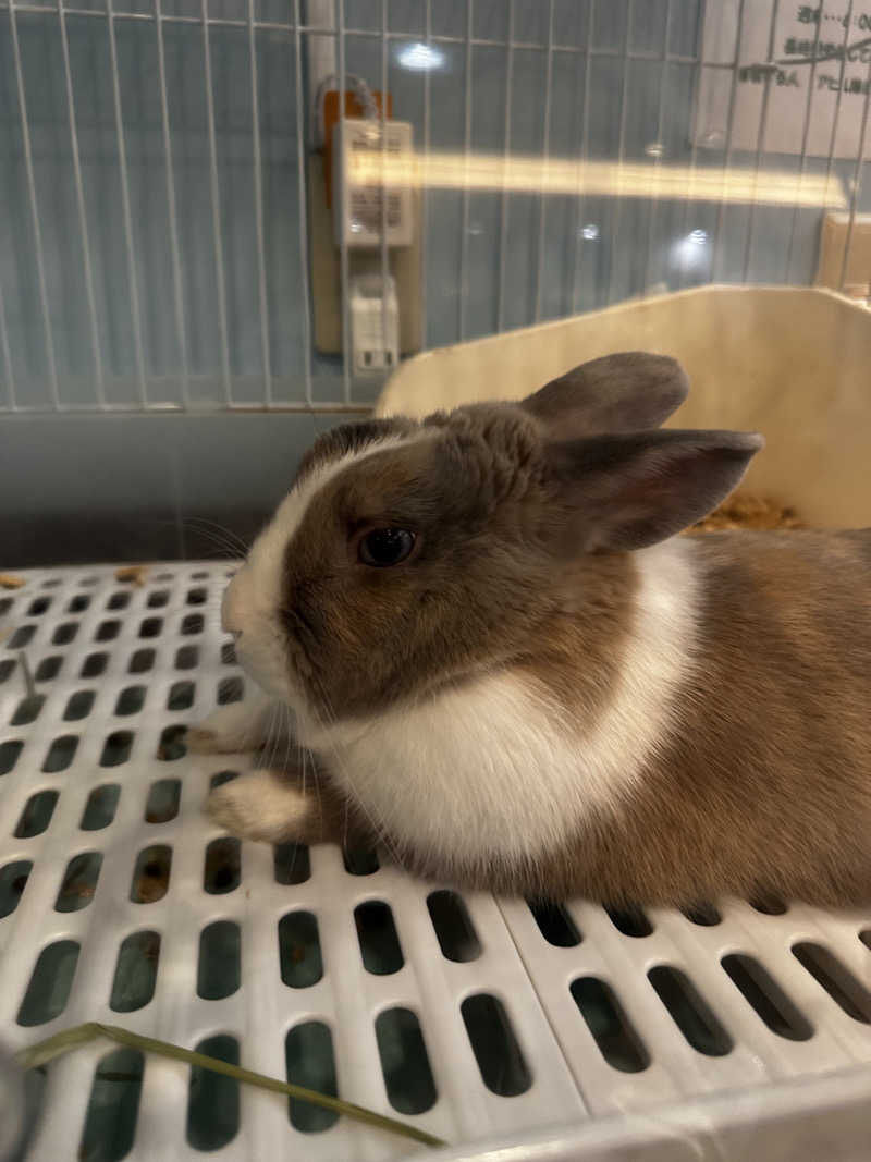 乗り鉄のおみそさん@しかしキャンパー⛺さんのアクアリゾート 岐阜ふじの湯のサ活写真