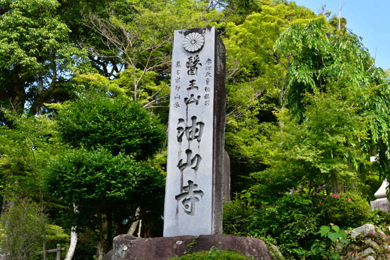 乗り鉄のおみそさん@しかしキャンパー⛺さんの健康ゆ空間 磐田ななつぼしのサ活写真