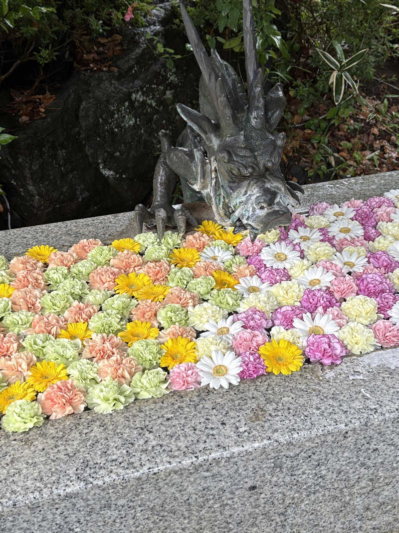 肉うどんさんのよみうりランド眺望温泉 花景の湯のサ活写真
