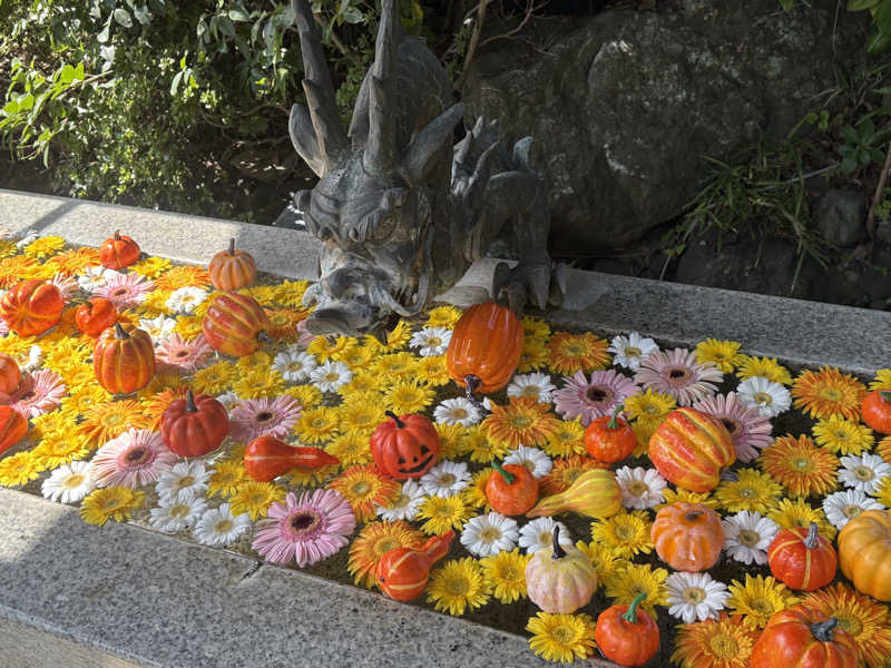 肉うどんさんのよみうりランド眺望温泉 花景の湯のサ活写真
