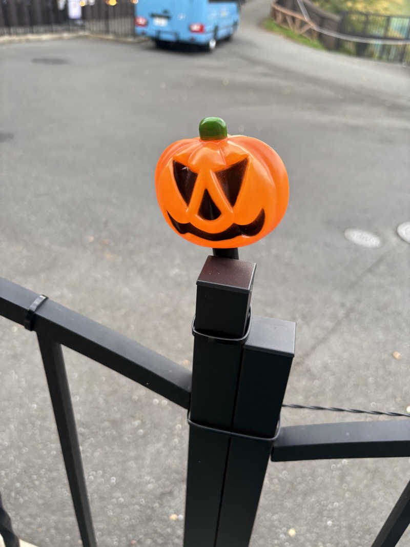 肉うどんさんのよみうりランド眺望温泉 花景の湯のサ活写真