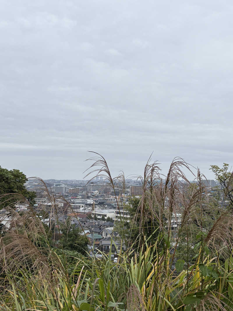 肉うどんさんのよみうりランド眺望温泉 花景の湯のサ活写真