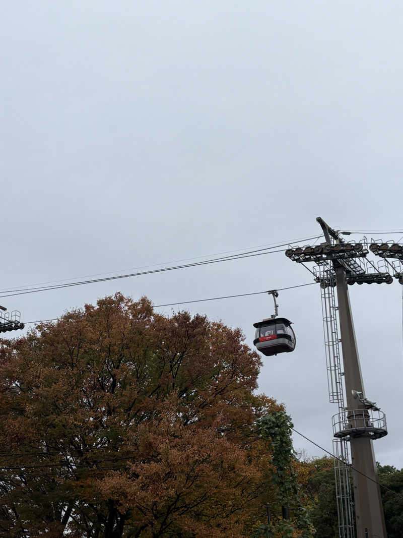肉うどんさんのよみうりランド眺望温泉 花景の湯のサ活写真
