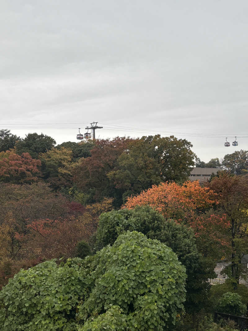肉うどんさんのよみうりランド眺望温泉 花景の湯のサ活写真