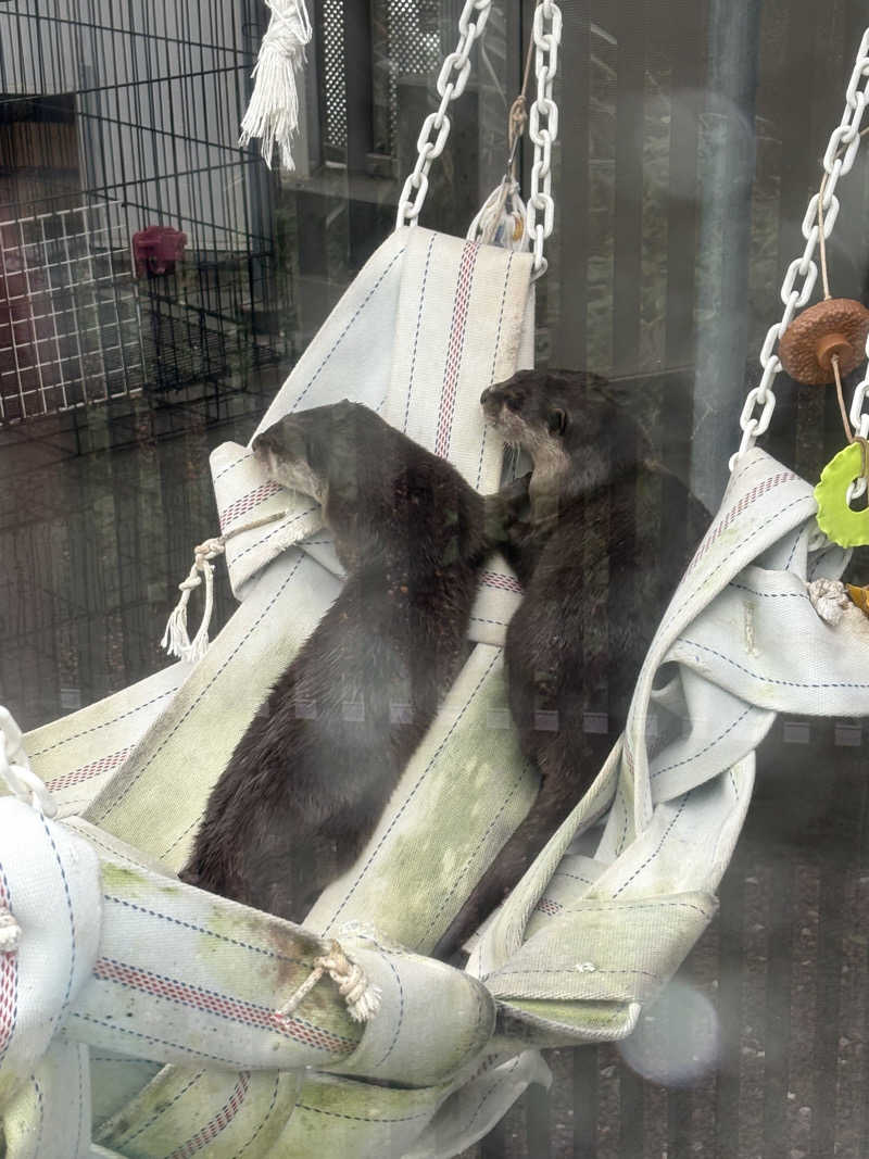 肉うどんさんのよみうりランド眺望温泉 花景の湯のサ活写真