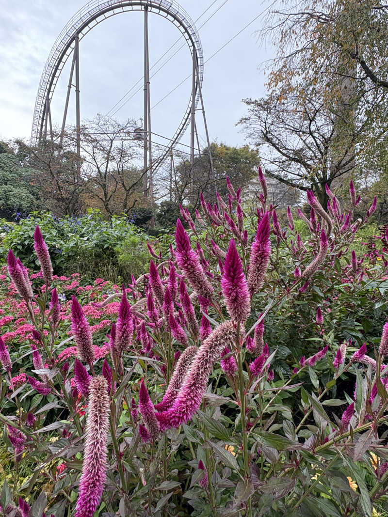 肉うどんさんのよみうりランド眺望温泉 花景の湯のサ活写真