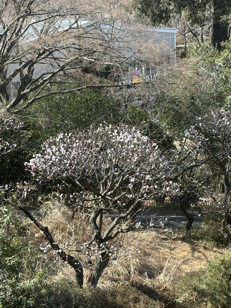 肉うどんさんのよみうりランド眺望温泉 花景の湯のサ活写真