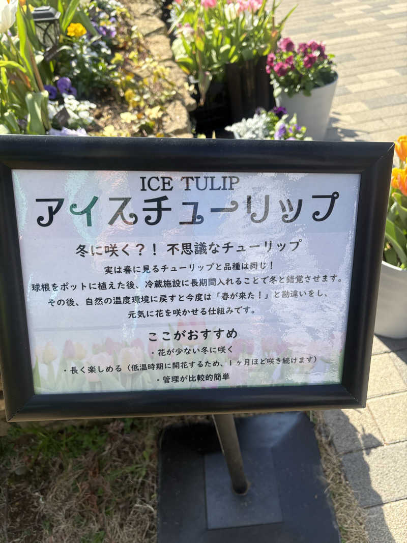 肉うどんさんのよみうりランド眺望温泉 花景の湯のサ活写真