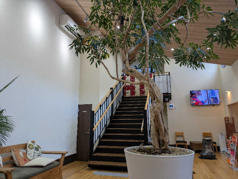 たくたくさんの七沢荘のサ活写真