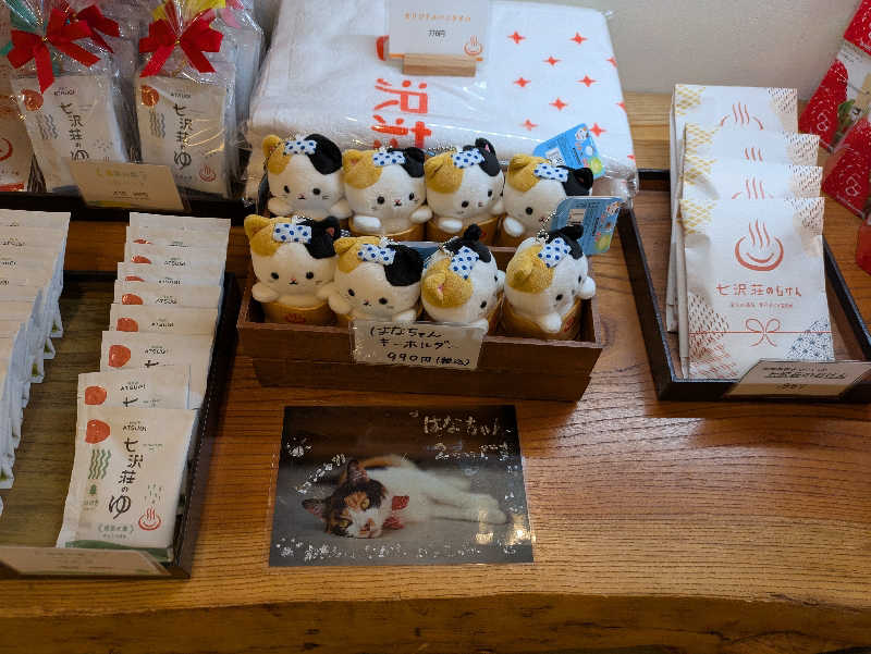 たくたくさんの七沢荘のサ活写真