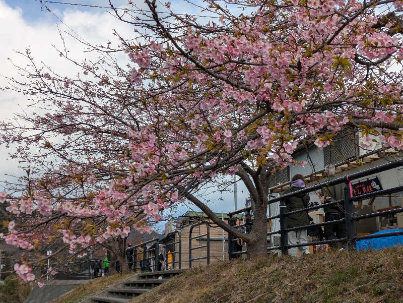 たくたくさんの伊東園ホテル稲取のサ活写真