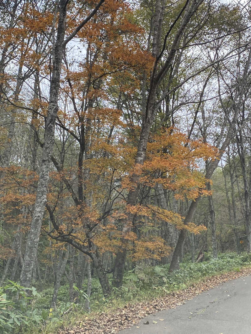 銭湯員Ｑさんのトムラウシ温泉 東大雪荘のサ活写真