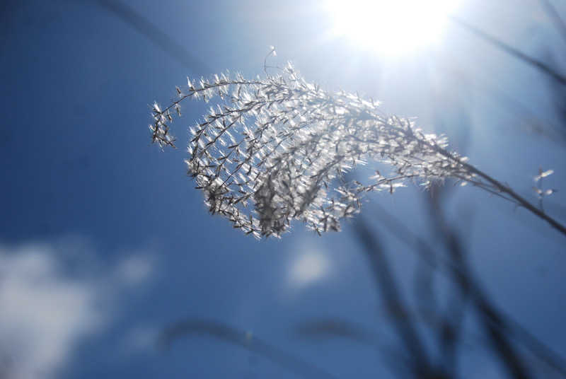 ブタキチノハナさんの大宇陀温泉あきののゆのサ活写真