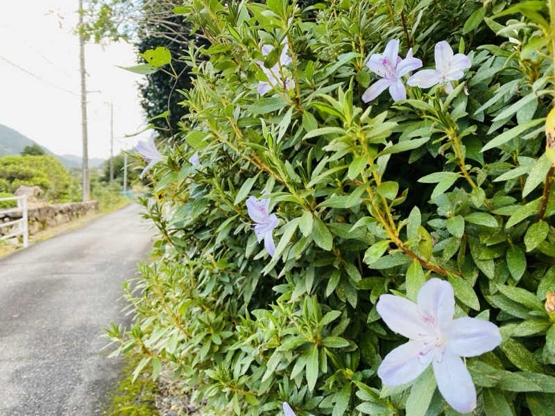 やまピー監督さんのパブリックハウス アンド サウナ 久米屋のサ活写真