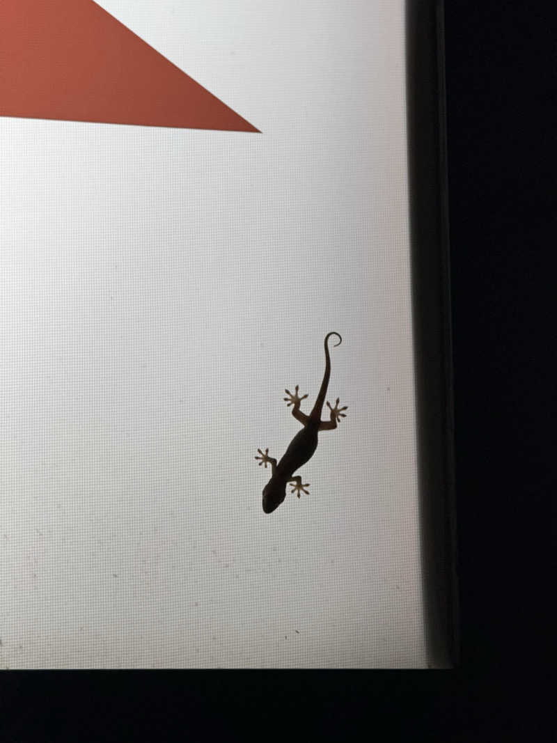 わたなべ.Iさんの野天風呂 湯の郷のサ活写真