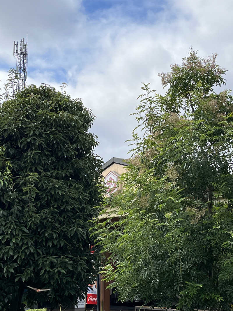 南風原さんの小江戸はつかり温泉 川越店のサ活写真