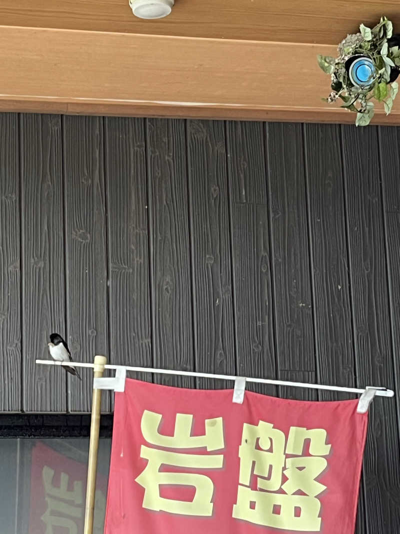 南風原さんの小江戸はつかり温泉 川越店のサ活写真