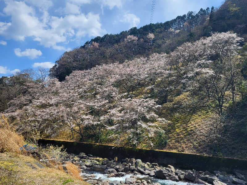 ですですさんの西米良温泉ゆた～と カリコボーズの湯のサ活写真