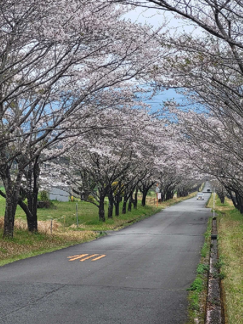 ですですさんの極楽温泉 匠の宿のサ活写真