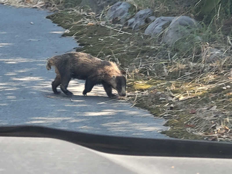 ですですさんの都城温泉のサ活写真